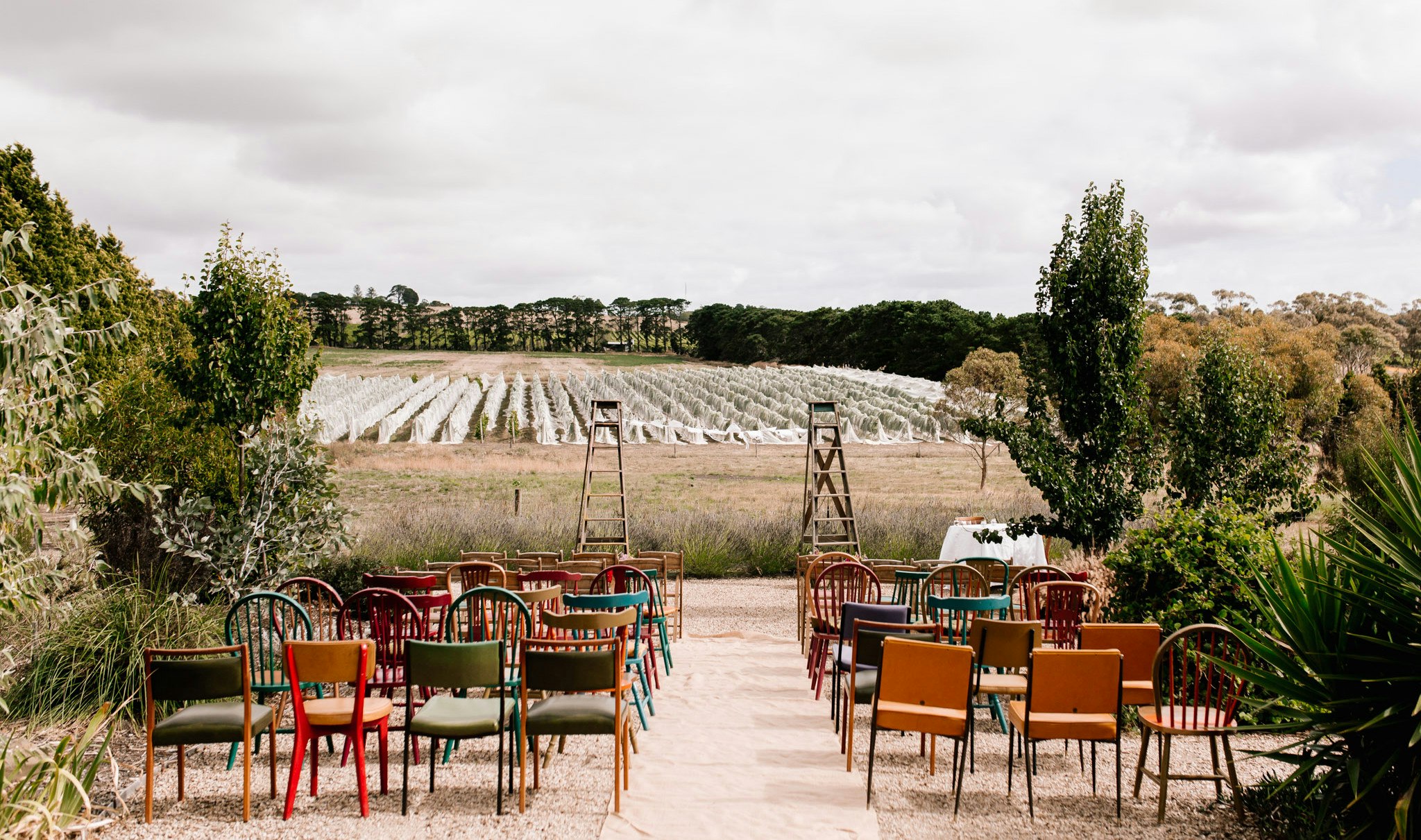 Colourful vintage chairs arranged for a wedding ceremony. Vineyard in background.